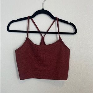 Aerie Crop Top